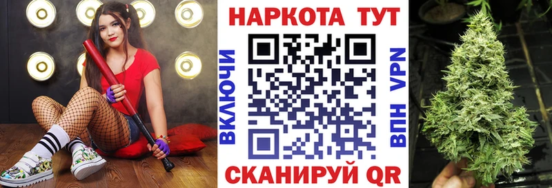 Купить закладку Кокаин  Мефедрон  ГАШ  Злынка