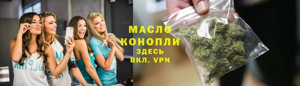 прущий лед Каменка