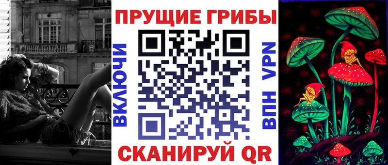 Галлюциногенные грибы мицелий Купить закладки Злынка