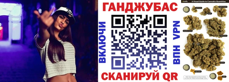 Купить закладки  Злынка  Конопля тримм 